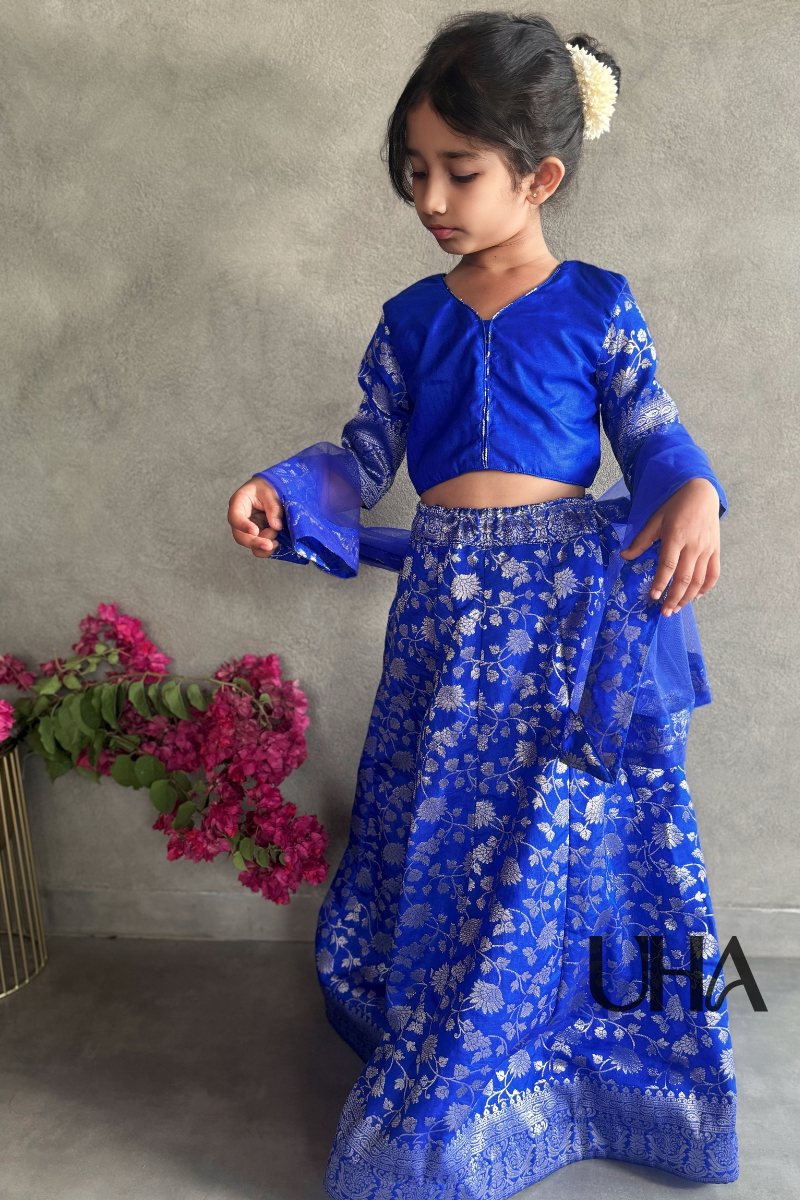 Blue And Silver Silk Lehenga